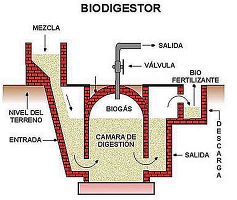 Aprende qué es un biodigestor cómo funciona sus ventajas y desventajas Biodigestor Disenos