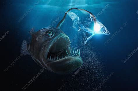 Deep Sea Creatures With Lights