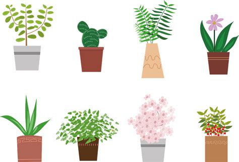 Download Potted Plant Flower Plant Royalty Free Vector Graphic Pixabay