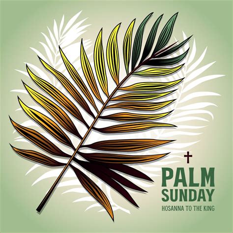 What Is Palm Sunday And Why Do Christians Celebrate It