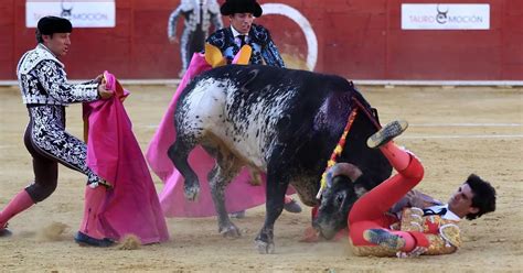 Footage Captured Moment Matador Gored To Death By Bull As Bullfighting