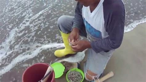Pescador Explica TÉcnica De Pesca Youtube
