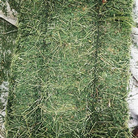 Organic Bio Alfalfa Grass Hay Factory Dried Organic Feedsouth Africa