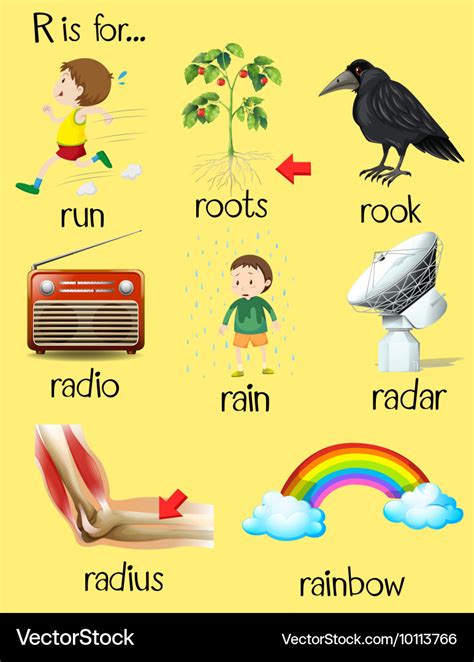 Many Words Begin With Alphabet R Royalty Free Vector Image