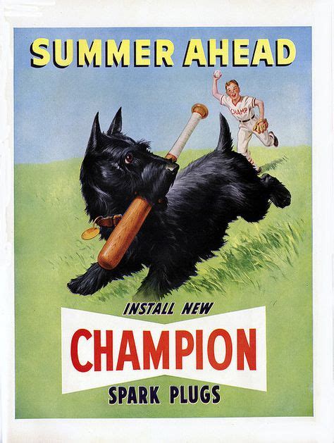 36 Vintage Doggie Things Ideas Vintage Dog Vintage Dogs