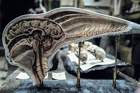 Dominion trailer coming sooner than you think says director! Shedding Some Light on David's Lab - Alien: Covenant Forum