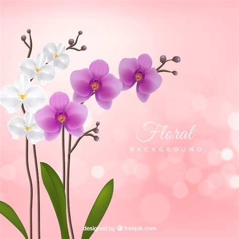 Fundo Floral Com Orquídeas Realistas Vetor Premium