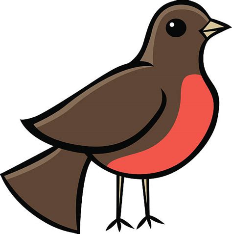 Royalty Free Robin Clip Art Vector Images And Illustrations Istock