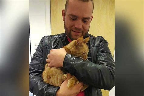 Cat Survives 200 Mile Journey To Shropshire In Vans Engine Bay With Barely A Scratch