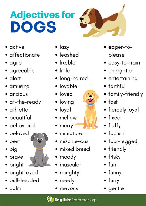 Adjectives For Dogs Adjectives Study English Language Describing Words