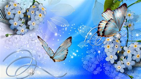 Hd Wallpaper Butterfly And Flower Yellow Blue Brown Orange And