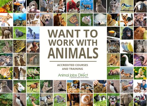 Variety wild animal best blog: Jobs to do with wild animals