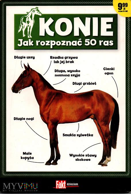 Konie - Jak rozpoznać 50 ras w Muzeum Vipoka w MyViMu.com