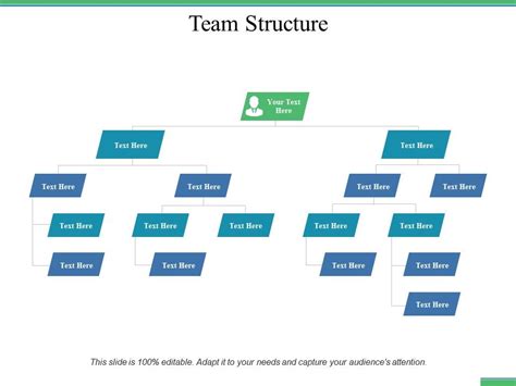 Team Structure Ppt Professional Infographic Template Presentation