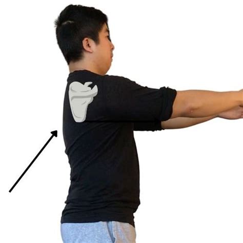 Scapular Stabilization Exercises Strengthening The Muscles And Joints