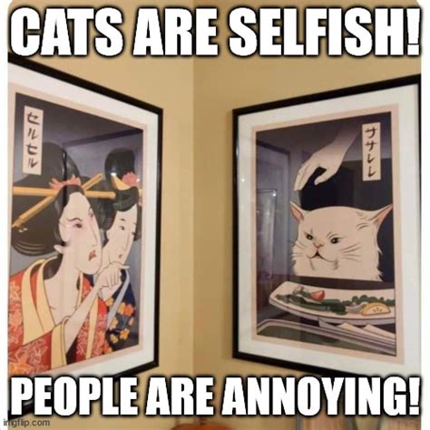 Cats Are Selfish Imgflip