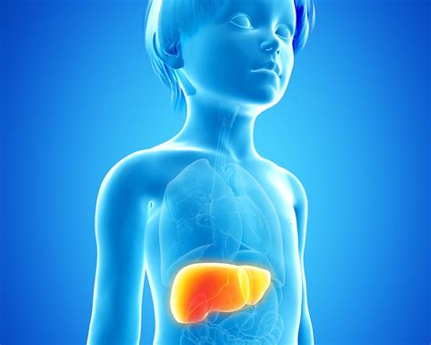 Liver Transplant Success Rate Fatty Liver Disease