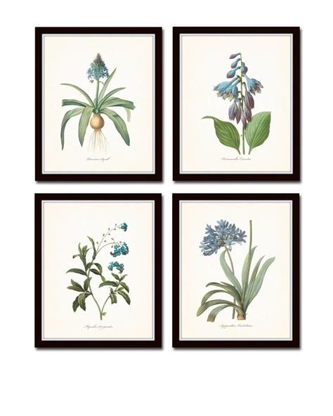 Blue Botanical Print Set No 7 Redoute Botanical Prints Art Etsy Bird