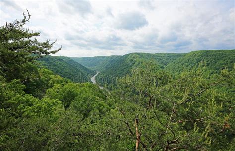 National Forest Of West Virginia Stock Photo Image Of Canyon Stream