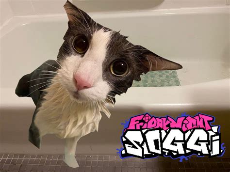 Vs Soggy Cat Friday Night Funkin Mods