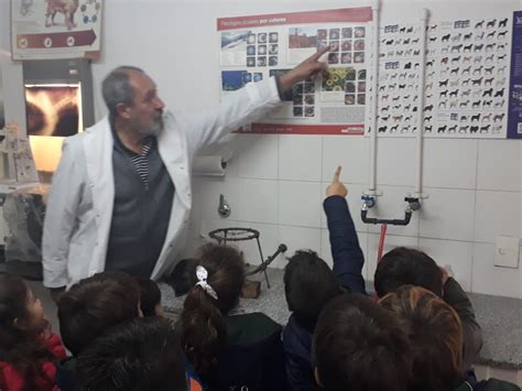 Check spelling or type a new query. Veterinarios por un día - Nivel Primario | Colegio Tierra ...