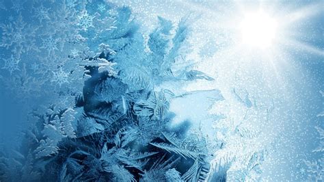 Ice Snow Crystals Wallpaper 110761