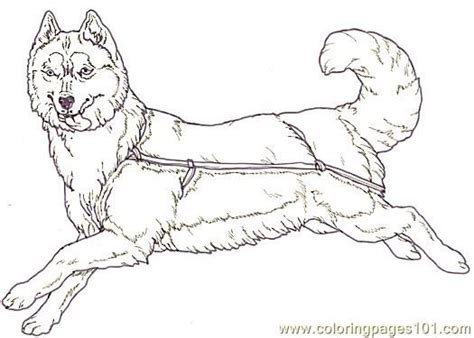 sled dog coloring pages | coloring page Mural Tsb Sled Dog Facing Reverse (Mammals > Dogs