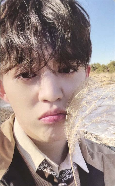 Adore U, Seventeen, Sunflower, Lock, Kpop