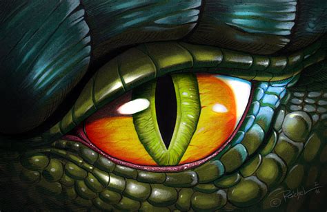 Reptile Eye Texture