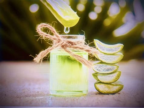 So soll es bei zahlreichen krankheiten helfen, für ein junges hautbild und gesunde haare sorgen. ALOE VERA CREME selbst gemacht - Bina Balance