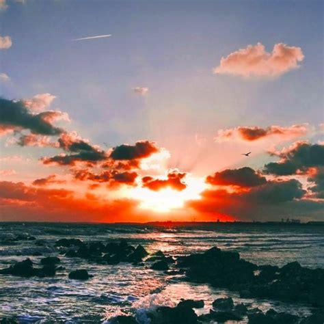 Landscape Sea Sun Sky Wallpapersc Iphone8plus