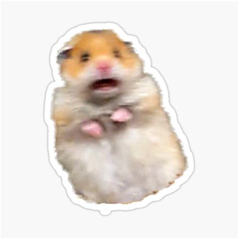 Screaming Hamster Stickers Redbubble