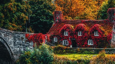 House Covered In Beautiful Leaves And Flowers 1920x1080 Rwallpaper