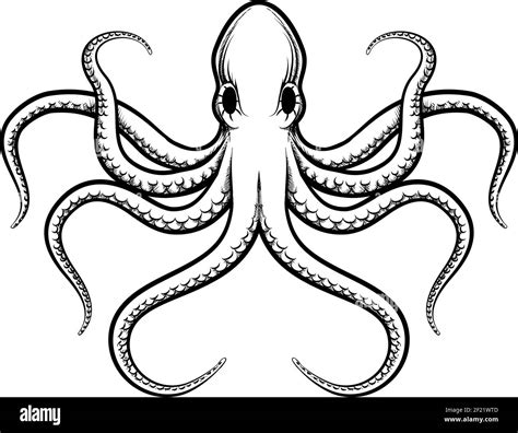 Vector Octopus Illustration Beautifully Painted Octopus Black Lines On