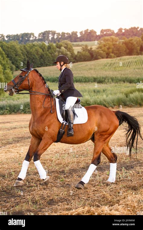 Pferd Aktive Erholung Sport Und Pferdesport Konzept Eine Frau Ein Pferd Reiten Mädchen In
