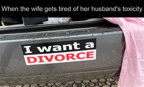 image tagged in meme memes bumper sticker imgflip