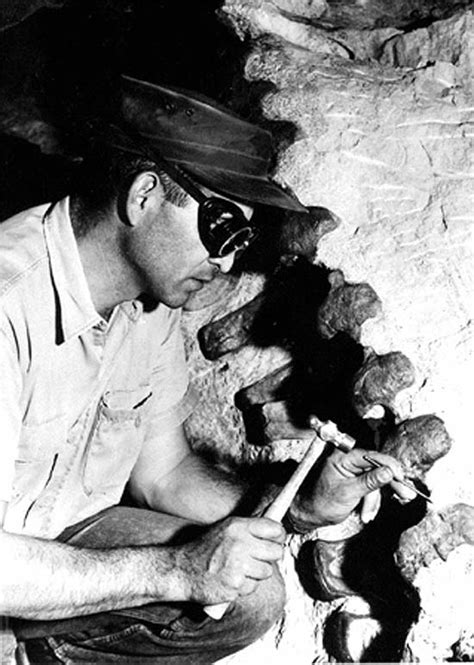 In their undergraduate program, they will need to have a concentration in life sciences, as well as geology. Paleontologist - Paleontology Wiki