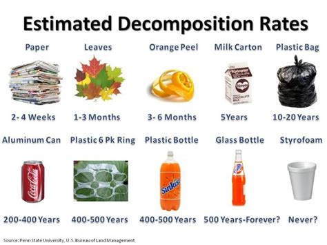 Estimated Decomposition Rates For Materials In Landfills Recycling