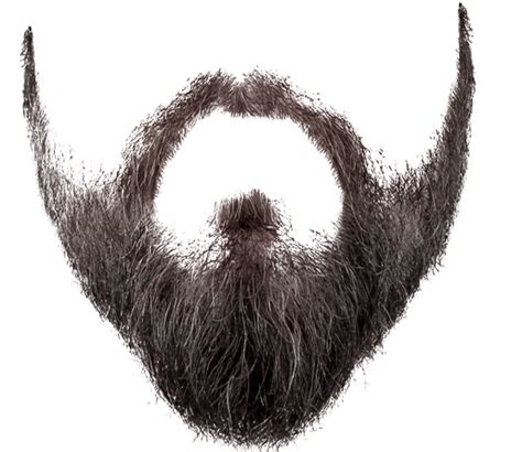 Beard Png Transparent Beardpng Images Pluspng