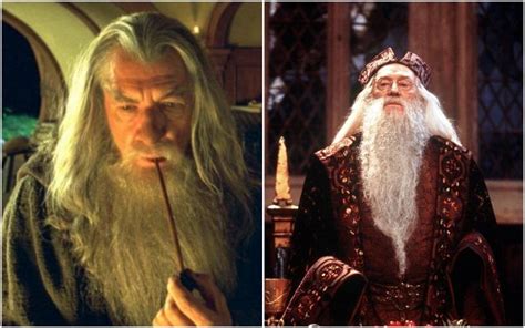 Ian Mckellen Harry Potter De Harry Potter