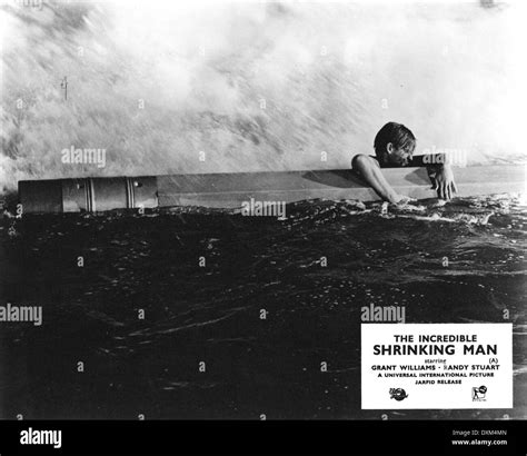 The Incredible Shrinking Man Stock Photo Alamy