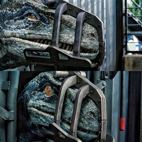 Jurassic Parkworld Fan D On Instagram “what Is Your Favorite Color🔵 Jurassicpark