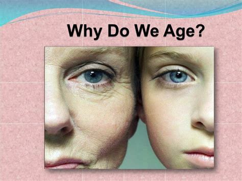 Ppt Why Do We Age Powerpoint Presentation Free Download Id7985964