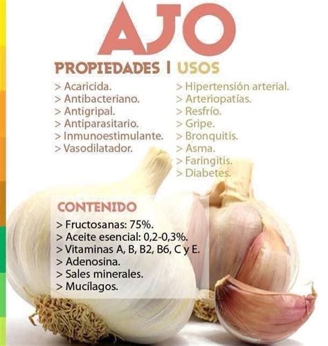 Pin de Ere Morsan en Salud & Belleza | Ajo propiedades, Beneficios del