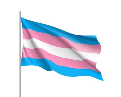 transgender flag illustrations royalty free vector graphics and clip art istock