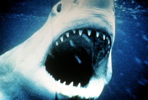 jaws horror movies nominated for oscars popsugar entertainment photo 5