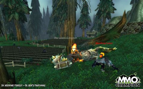Silverpine Forest Mmo Champion