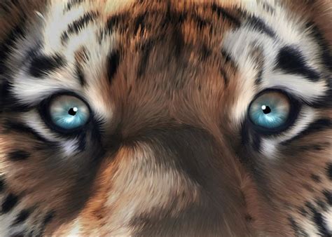 Tiger Eyes Digital Art By Julie L Hoddinott