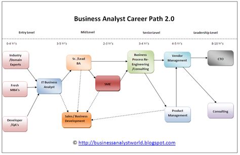 Graphic Diagram Of Career Path Options In Business Analyst