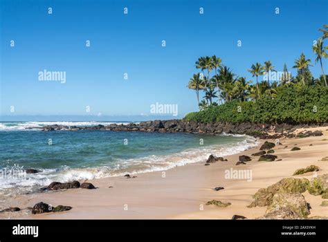 Laniakea Beach Near Haleiwa On The North Coast Of Oahu In Hawaii Stock